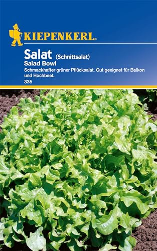 Kiepenkerl Pflücksalatsamen Salad Bowl 335 - Schmackhafter grüner Pflücksalat - Für Balkon und Hochbeet - Inhalt für 5 laufende Meter - Salat Pflanze