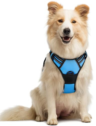 rabbitgoo Dog Harness Medium, No Pull Vest with Front Clip & Handle