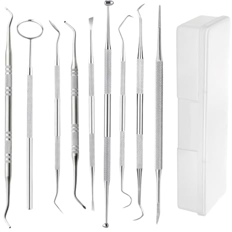 Set da 9 pezzi per la cura dentale per la casa, utensili manuali per la pulizia dei denti con scatola portaoggetti, in acciaio inox, per la cura