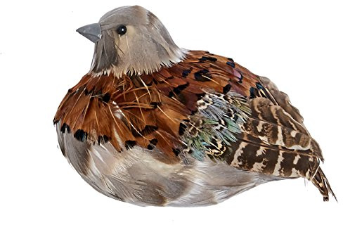 Worth Imports 1688 Feathered Partridge