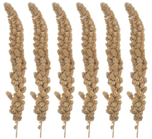 ROMISBABA Millet Naturel Séché pour Perruches Snack Suspendu Riche Vitamines pour Calopsittes Inséparables Canaris et Petits Oiseaux Alimentation Saine et Enrichissante