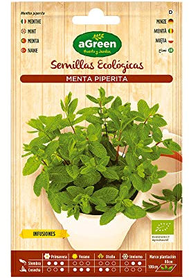 2 SOBRES SEMILLAS ECOLÓGICAS MENTA PIPERITA HA