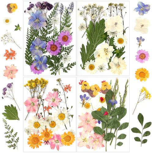 YSWOVUO 90 Pezzi Fiori Secchi Naturali, Misti Pressati Fiori Secchi Set, Fai Da Te Fiori Secchi Decorativi per Resina Candele Unghie Scrapbooking Artigianato