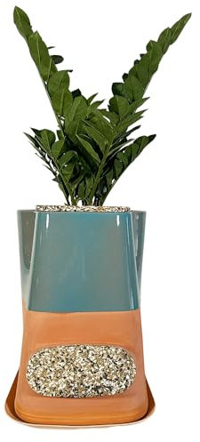 Moutta｜Transfarmers Pot de Fleurs et lombricomposteur Turquoise en Terre-Cuite 17L｜Transformez Vos déchets et nourissez Vos Plantes