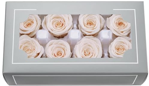 DorphyRoses 8 Stück Premium Rosenblüten (4-5 cm) Natürliche Echte Rosen - Für Home Deko, Hochzeit, Feier & DIY Basteln - 2-3 Jahre Haltbar (Beige)