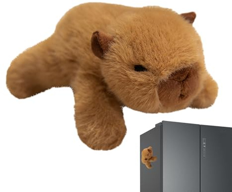 Celuicion Imanes para – Peluche magnético para – Juguetes magnéticos educativos para casa, Cocina, Escuela y Pizarra