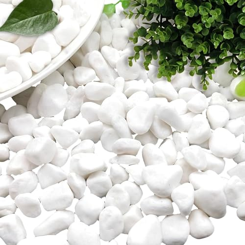dellyy Decorativas Grava Blanca, 500g, Pequeñas Grava Blanca, Mini Piedras Decorativas, Pequeños Guijarros Blancos, Mini Canto Rodado Blanco, Pequeños Gravas para Macetas, Jardines, Acuarios (1000)