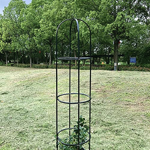 ZYFA Rankhilfe Obelisk Pflanzstäbe Tomatenstäbe Gartenstecker Gartenpfähle Pflanzenstäbe Rankobelisk Pflanzenstütze Kletterhilfe Plant Support für Pflanzen,Blumen,Gemüse,Kletterpflanzen und Rosen