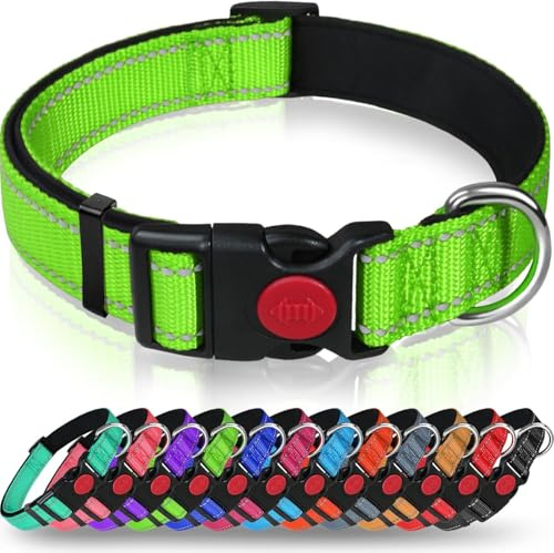 Taglory Collier pour Chien, Collier en Nylon Réfléchissant Réglable Classique avec Rembourré Doux Respirant Mesh pour Grands Chiens, L, Vert