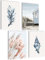 mojoliving Deko Maritim Bilder Set Poster Natur Strand Muschel Ostsee Deko Nordsee Meer Dune Poster beige Meer Maritime Landschaft