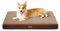BEDSURE orthopädisches Hundebett mittelgroße Hunde - 91x69x7.6cm Hundekissen flauschig Hundematte waschbar Hundematratze in braun für mittelgroße Hunde