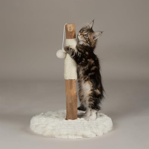 Scruffs Andes My First Cat Scratching Tree