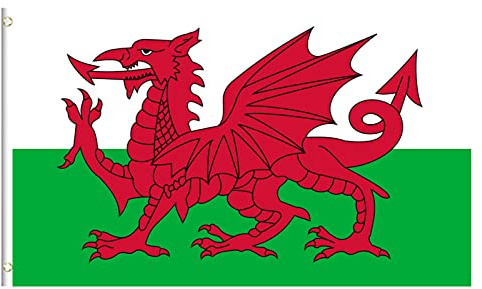 Wales Flag, Welsh Bunting Welsh Flag, 5ft x 3ft with Eyelets