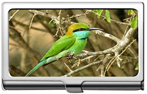 Professionelle Visitenkartenetui, Tier Wildfedern Geflügel Kreditkartenetui/Inhaber/Kartenetui