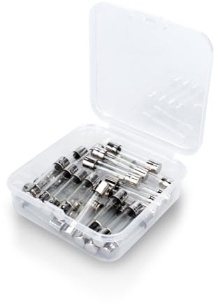 Innfeeltech 25 Stück träge Glassicherungen 6 * 30mm 250V 6A Träge Röhrensicherungen Sortimentskit