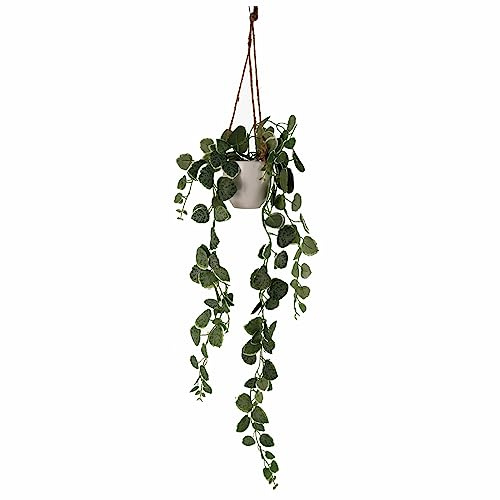 Leaf Diseño de Plantas Colgantes Artificiales