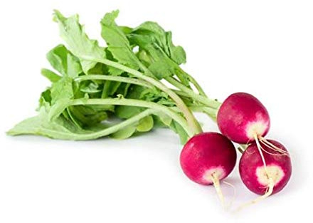 500+ pk White Tip Radish Seed, Home Garden, Sprouting Seeds
