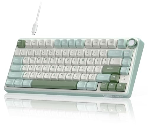 RK ROYAL KLUDGE R75 Mechanical Keyboard Wired with Volume Knob, 75% Keyboard Gasket Mounted, RGB Backlit, Creamy Keyboard with MDA Profile, PBT Keycaps, Hot Swappable Pre-lubed Tactile Switch