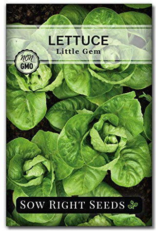 Sow Right Seeds - Little Gem Lettuce Seeds for Planting - Non-GMO Heirloom - Ideal for Spring or Fall - Grow Outdoors or Indoors for Hydroponics - Green Leaf Lettuce for Healthy Vegetable Gardens (1)