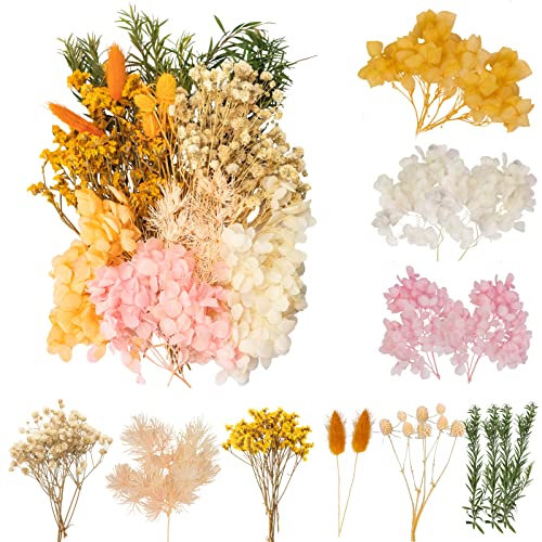 LAUMOE Getrocknete Blumen, Trockenblumen, Trockenblumen Zum Basteln Trockenblumen Set Mini Trockenblumen für Startseite Kunst Basteln Dekoration (Gelb)