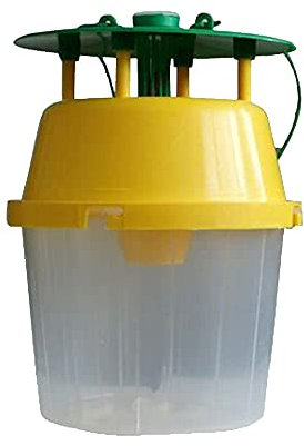 IPM Direct Moth Bucket Trap & Pheromone Lures (Gypsy Moth)