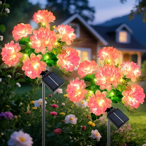 Ninonly Luces Solares Exterior Jardin, 2 Piezas Crisantemo Luz Solar Exterior con LED Luz Cálida, 8 Modos Lámpara Iluminacion Impermeable, Decoración para Jardin Patio Senderos Navidad