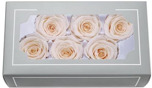 FORTTS Rosa conservata di grado A 5-6 cm, rose eterne naturali di alta qualità, rosa immortale dura da 3 a 5 anni, per mamma, San Valentino, compleanno, matrimonio, casa, feste, fai da te, essenziale