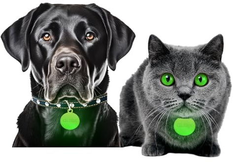 Tag per collare per animali domestici che si illuminano al buio