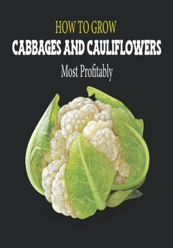 HOW TO GROW CABBAGES AND CAULIFLOWERS Most Profitably