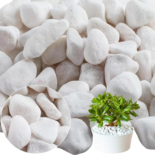 flonatur Piedras Blancas Canto Rodado Blanco para Jardin | Grava tamaño Grandes| Adorno para tu Jardin | Marmolina Decorativa Espacio Exterior | Diferentes Tamaños (Saco 40/60 10KG)