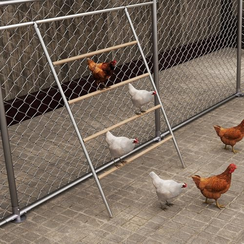 Froap - Escalera para gallinas de 4 niveles con percha (140 x 105 cm, construcción de madera y tubo de acero galvanizado), ideal para gallineros y gallinero
