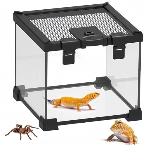 BNOSDM Reptile Tank,8 x 8 x 6 Mini Reptiles Terrarium,Full View Young Lizard Glass Tank,Small Amphibians Habitat Enclosure Cage for Tarantula,Frog,Hermit Crab,Isopods,Insects Breeding Box