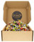 Genussleben Geschenkbox mit 3kg Lindor® Kugeln hochwertig und zartschmelzend saisonal gemischt, die Pralinenbox für Familie, Büro und als Überraschung.