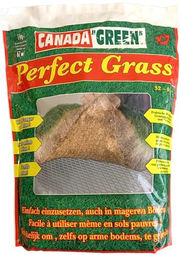 MYBO TV - Semances de gazon - Pousse partout en toutes saisons - Couvre jusqu'à 62m² - Résistant au gel et à la sécheresse - Pousse rapide - Résistant au piétinement - Sac de 1 kg