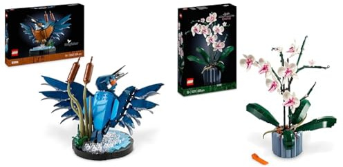 LEGO Icons Le Martin-pêcheur, Kit de Maquette pour Adultes Amoureux des Oiseaux et de l'Ornithologie & 10311 Icons L’Orchidée Plantes avec Fleurs Artificielles d'Intérieur