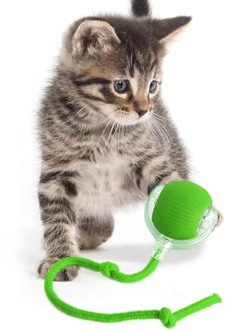 KQLHLHDYZ Jouet interactif pour chat - Balle intelligente pour chat avec détecteur de mouvement