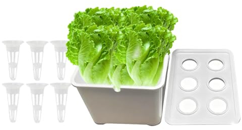 Generisch Sistema de cultivo hidropónico – Kit de sistema de cultivo | Kit de germinación sin tierra | Para verduras, frutas, interior y exterior, jardín, invernadero, granja, patio trasero, alféizar