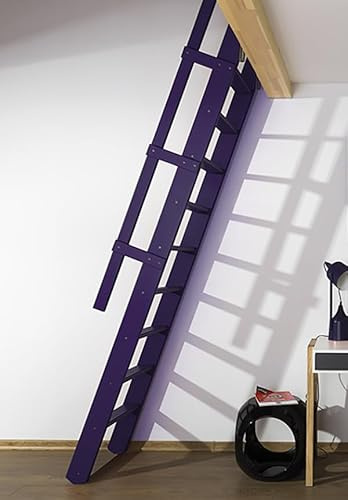 Escalier de meunier: 55cm de Large - Hauteur à franchir 3m - Couleur : Gris Anthracite (RAL 7016) - MSP/R7016