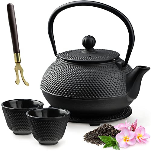 KADAX Théière Japonaise en Fonte de 850 ml avec Intérieur Émaillé, Bouilloire avec Deux Tasses et Infuseur pour Thé en Vrac, Service à Thé Complet (Noir)