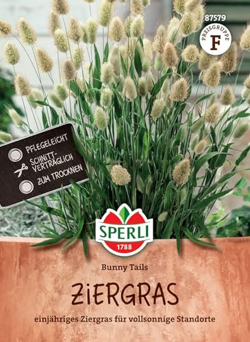 Sperli Ziergrassamen Bunny Tails 87579 - Einjähriges Ziergras für Gartenpflanzen, ideal als Schnitt- und Trockenblume, kompakt wachsend, einfach zu säen, lange Blütezeit