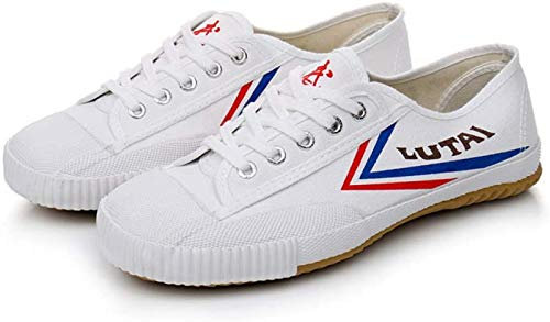 ZKHD Wu Shu Kung Fu-skor, Shaolin munk kampsportskor, Tai Chi-sko unisex kanvas halkskydd mode Qigong tränare, vit-42