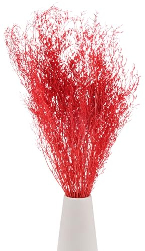 M METERXITY Mazzo Di Fiori Secchi 17 Fascio Di Fiori Di Limonium Secchi Per Decorazione Della Casa/Composizione Floreale Fascio Di Fiori Di Baby's Breath Secchi Caspia [Arancio Rosso, 60g]