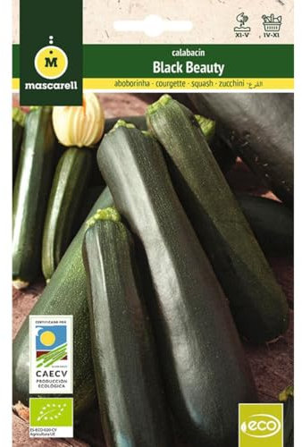 Mascarell Semillas, CALABACIN BLACK BEAUTY, Semillas Ecológicas, 5 Gramos