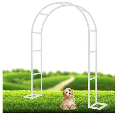 Arche de jardin en métal pour plantes grimpantes, support de treillis de rose, tonnelle de fleurs d'extérieur – Disponible en blanc tailles : 120 x 230 cm, 180 x 220 cm, 240 x 220 cm