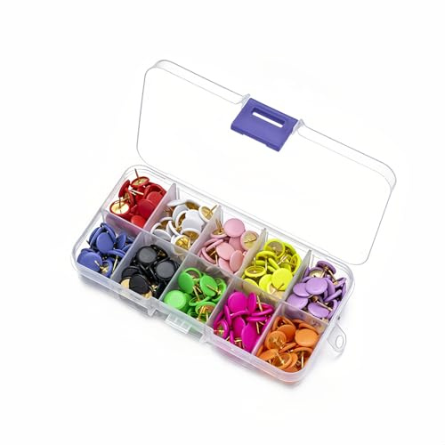300 Pezzi Puntine Colorate, Punte da disegno, Puntine in Plastica con Testa Rotonda Spilli, 10 colori, decorative, per casa, scuola, ufficio