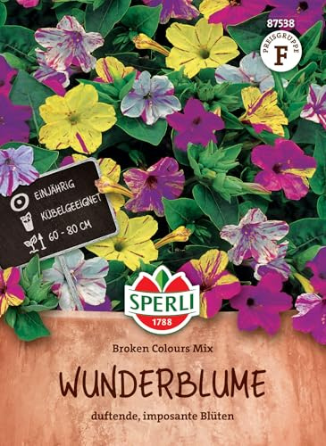 SPERLI Wunderblumensamen Broken Colours Mix - Einjährige Blumensaat, Duftende Sommerblumen Mischung, Wuchshöhe 60-80cm