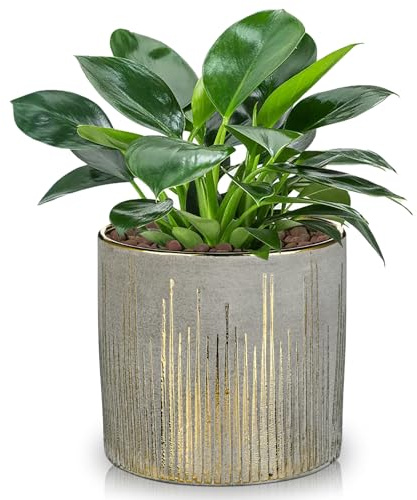 Hollyone Maceta de cerámica de 13,5 cm, maceta con orificio de drenaje y enchufe, maceta decorativa de jardín con patrones dorados, cerámica hecha a mano para suculentas, cactus, orquídeas, hierbas