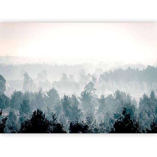 murando Photo Wallpaper Forest 300x210 Centimetres, Non-Woven Premium Art | Print Fleece Wall Mural Decoration Poster Picture Design Modern Fog Nature