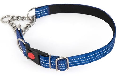 Martingale halsband, reflekterande hundkrage, sidospänne, justerbar kedja träning husdjurshalsband (blå, L, hals 38-69 cm)
