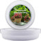 LIKOSO Blumentopf Untersetzer 31cm, Blumenuntersetzer, Klare Kunststoff Tropfschalen Untersetzer für Pflanzkübel für Indoor Outdoor Pflanzen 5er-Set
